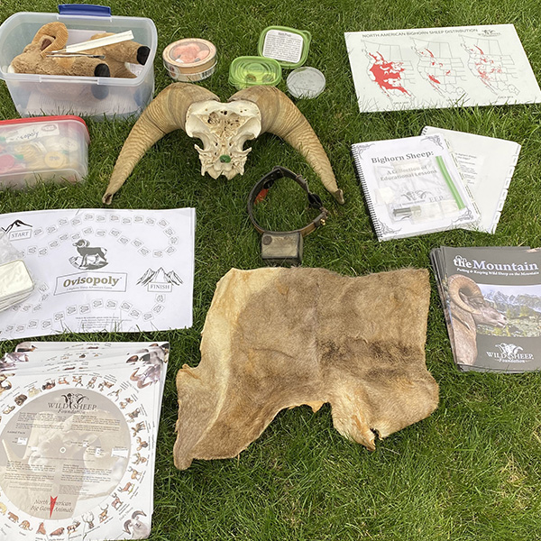 Contents of the WSF SHEEP education kit